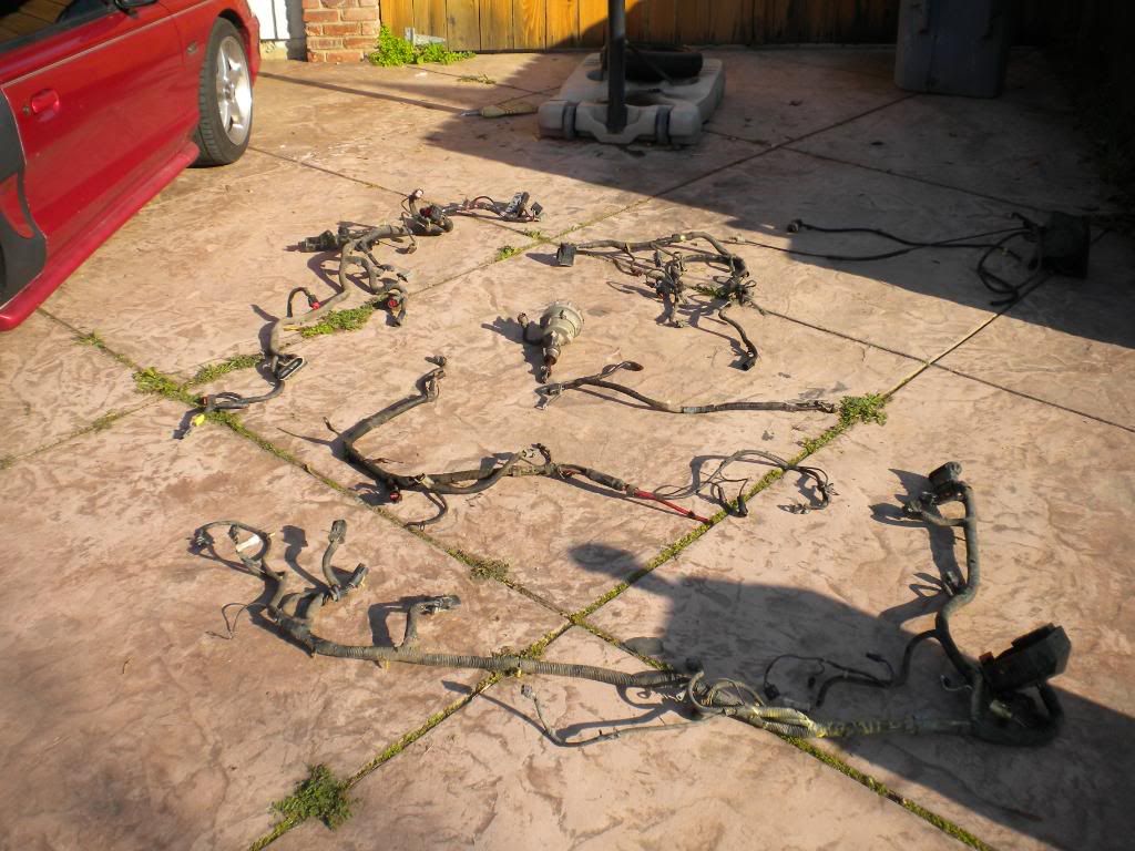 Full 94-95 5.0 Wiring Harness For Sale Plus Some Other Stuff. | Ford